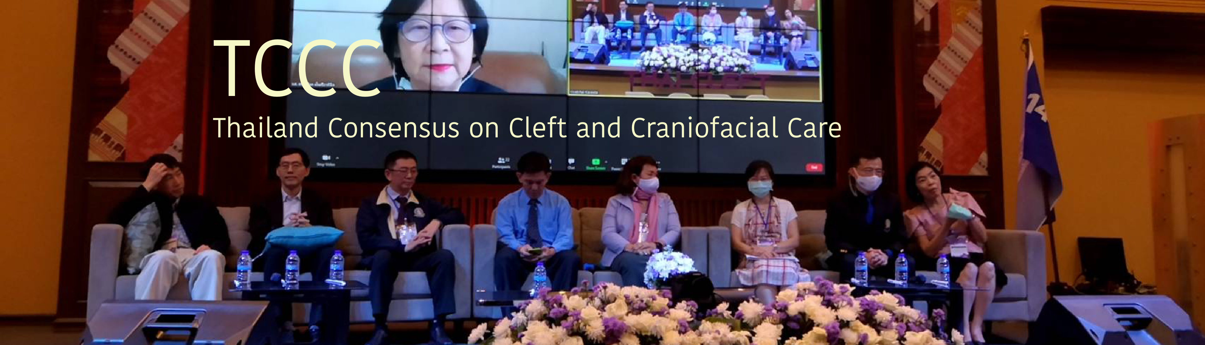 Thailand Consensus on Cleft and Craniofacial Care